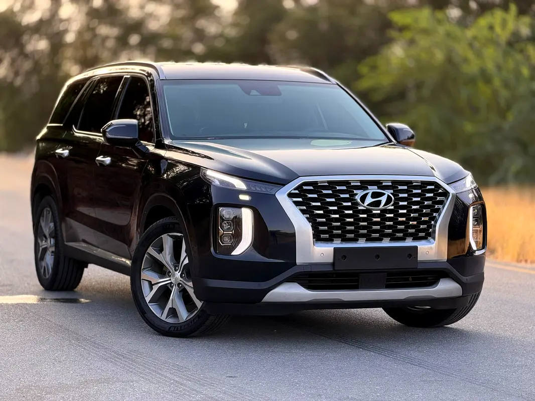 Hyundai Palisade 2021 — photo 1 of 20