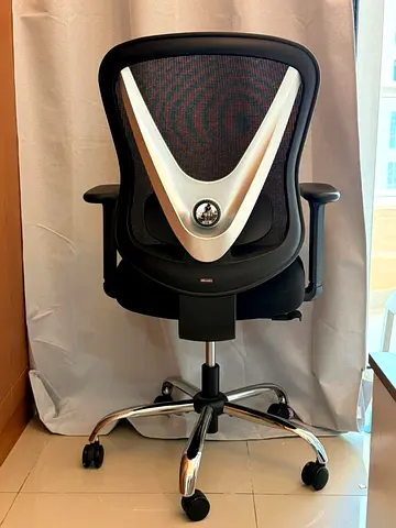 Ergonomic Mesh Office Chair with Lumbar Support - perfect Condition