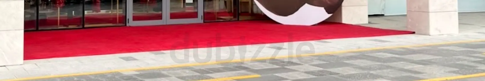 Red Entrance Carpet Rug - Rectangular, Used, Good Condition. Need to wash and can be used?