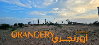 Farm for Sale in Umm Al Quwain – Falaj Al Mualla (UAQ passport holders only)