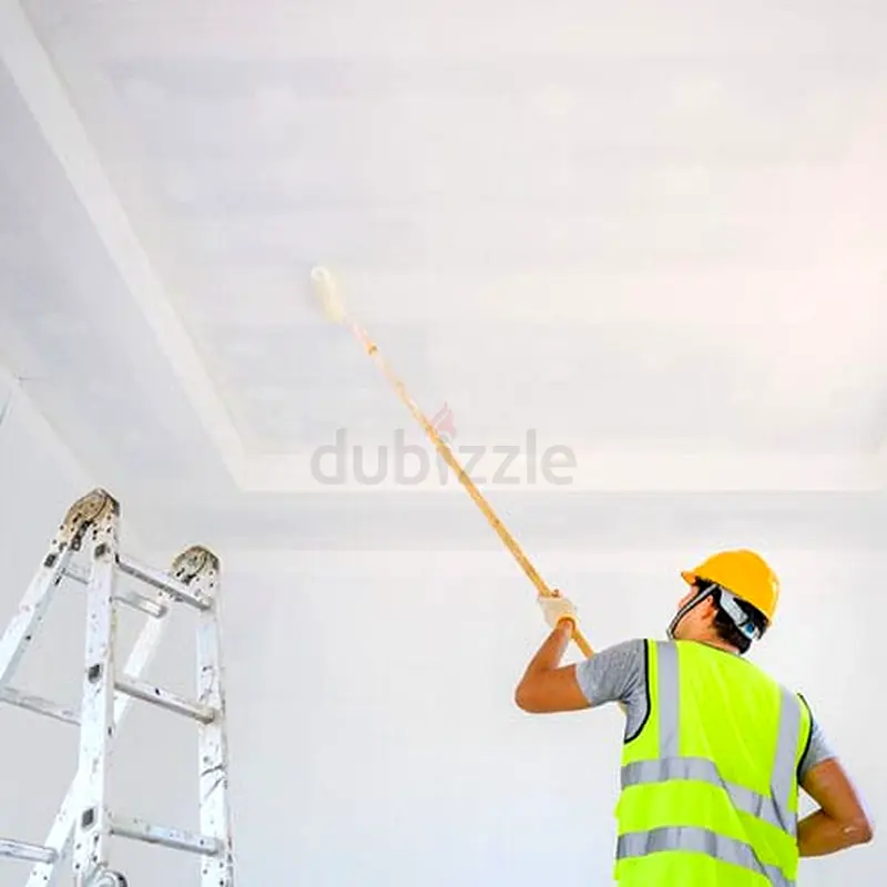 DPV_View_Image_0