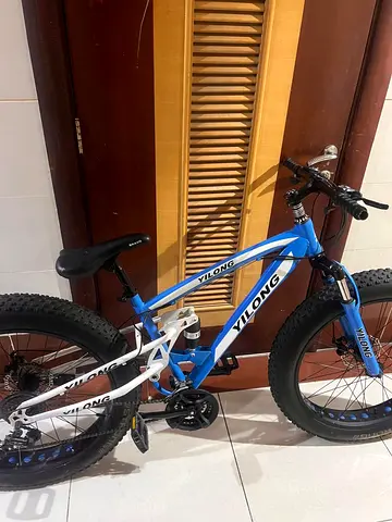 Mountain bike