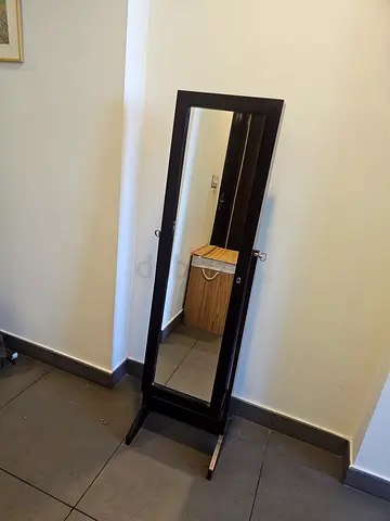 Mirror cabinet
