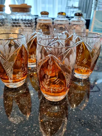 Czech Crystal Set of 6 Tumblers Karl Palda