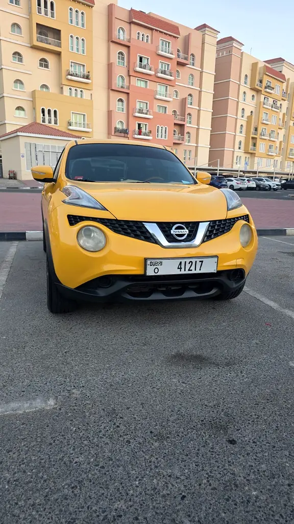 Nissan Juke 2016 — photo 1 of 13