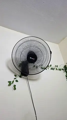 Black Wall-Mounted Oscillating Fan - Good Working Condition