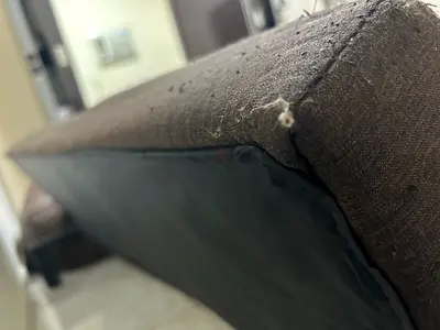 sofa bed