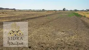 Plot for Sale – Al Jurf Industrial 2, Ajman | G+6 Approved | 7,144 Sq Ft