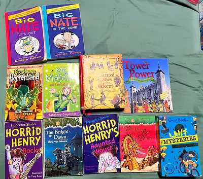 Childrens chapter book bundle — mix of Big Nate, Horrid Henry, classics  more