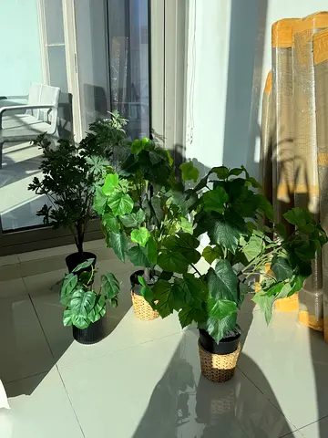4 Premium Artificial Plants – Excellent Condition – Home  Office Decor