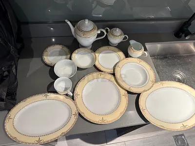 Vintage porcelain tea set and dinner plates - full set