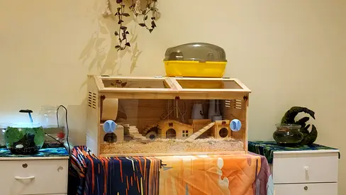Wooden big animal habitat cage with accessories (used)