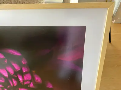 Framed Floral Photography Print with Light Wood Frame