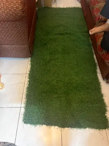 Artificial Grass (80x120cm)