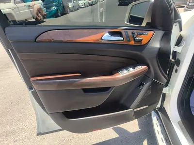 2015 Mercedes-BENZ M-CLASS 照片 10
