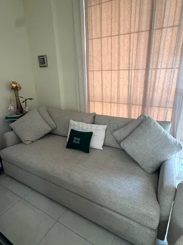 Lounge sofa from Crate and Barrel