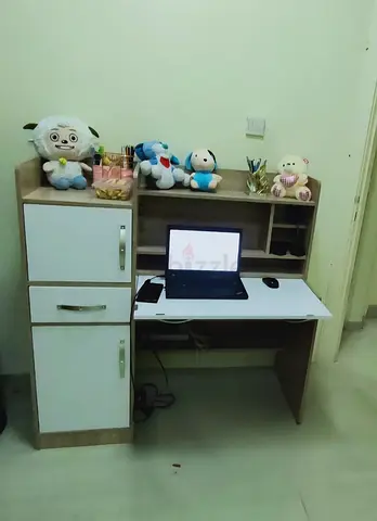 Compact Study Desk with Storage Cabinet and Shelves