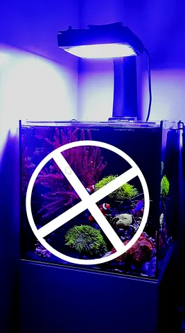 Saltwater Tank with Light (WITHOUT LIVESTOCK)