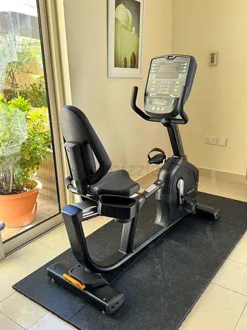 Matrix recumbent bike like brand new