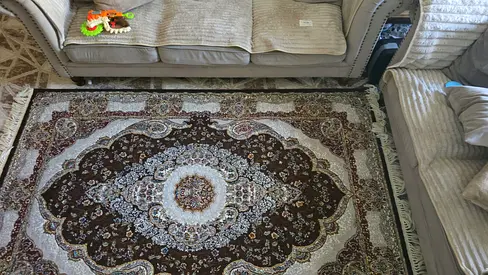 Used Persian-style area rug - brown cream medallion, good condition150x230