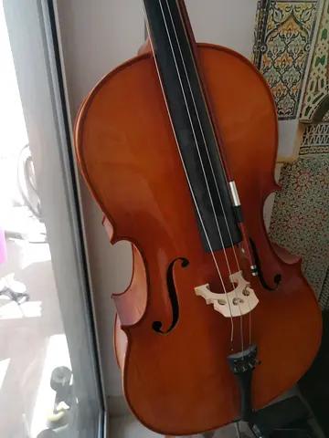 Full-size Cello in Good Condition