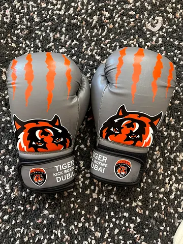 Tiger Kickboxing Boxing Gloves - Lightly Used, Good Condition