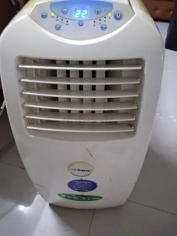 Portable cooler