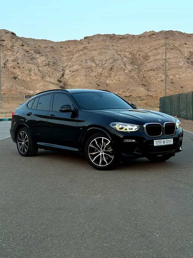 BMW X4 2020 — photo 1 of 20