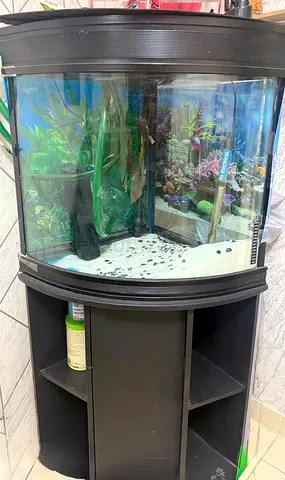 Corner Fish Aquarium Tank with Stand with pump and some other needed items