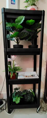 IKEA Black 4-Tier Plastic Shelf Unit — Ideal for Plants  Storage