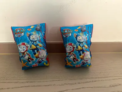 Pair of Paw Patrol Inflatable Armbands