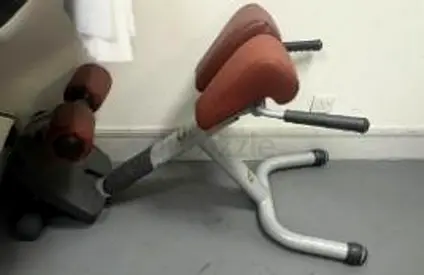 Technogym Roman Chair Back Extension Bench - Good Condition