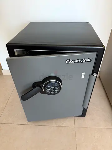 Safe Sentry