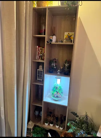 Display Shelf