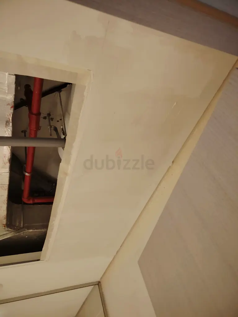 DPV_View_Image_9