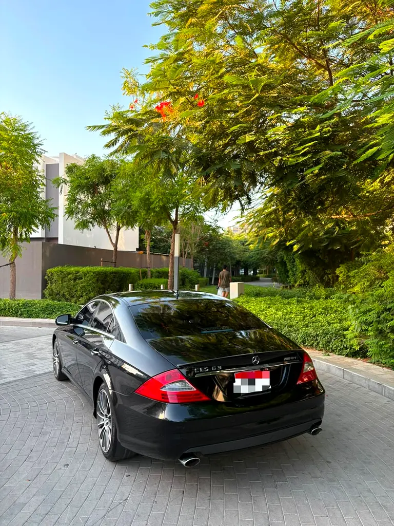 Mercedes-Benz CLS-Class 2010 — photo 1 of 6