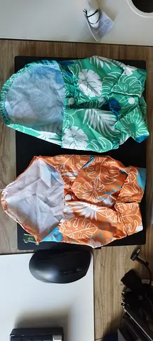 Cat Clothes