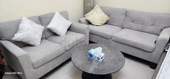 Pan Home Light grey 3-seater and 2-seater fabric sofa with Coffee table