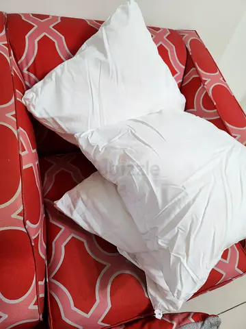 Cushion for sofa. Total set of 2.. eztra available