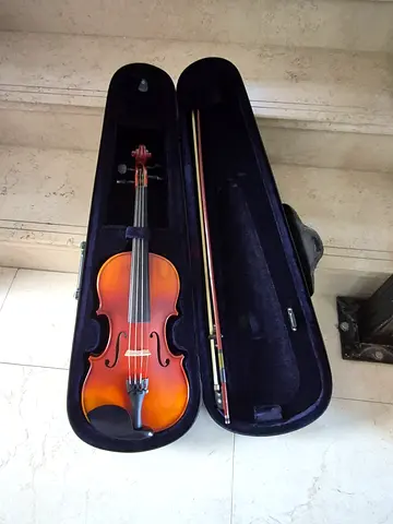 Violin