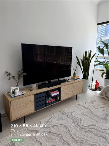 TV unit