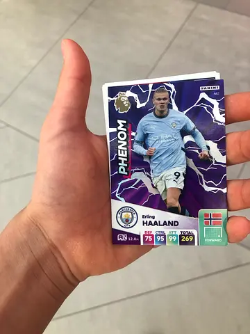 Erling halland phenom panini