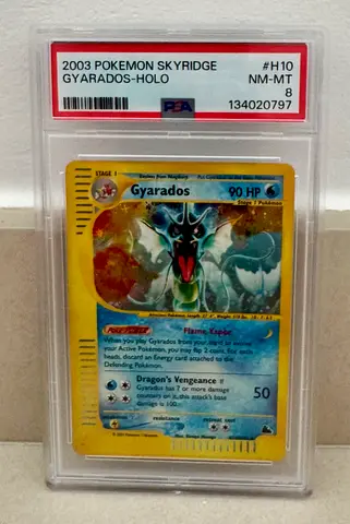 Gyarados Skyridge Holo PSA 8 Pokemon TCG