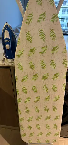 Ironing board and iron