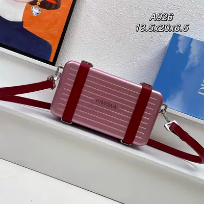 Dior x Rimowa personal clutch