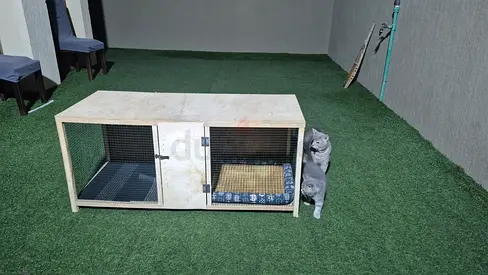 Cat house for sale