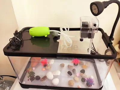 Fish Tank with Amenities