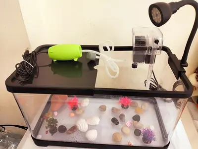 Curated visual reference: Picture Idea: Classifieds Fish Tank With Amenities