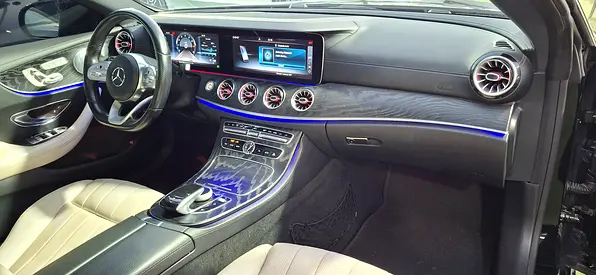 2019 Mercedes-BENZ E-CLASS 缩略图 8