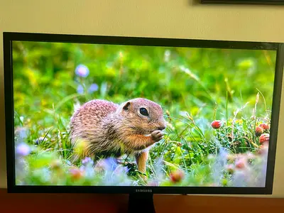 Samsung 4k Monitor